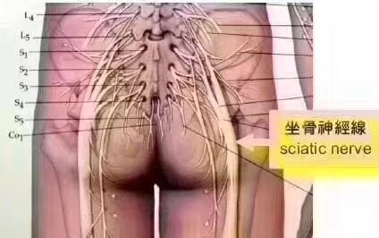 女人养臀，比养肾还重要！-小辉娱乐网