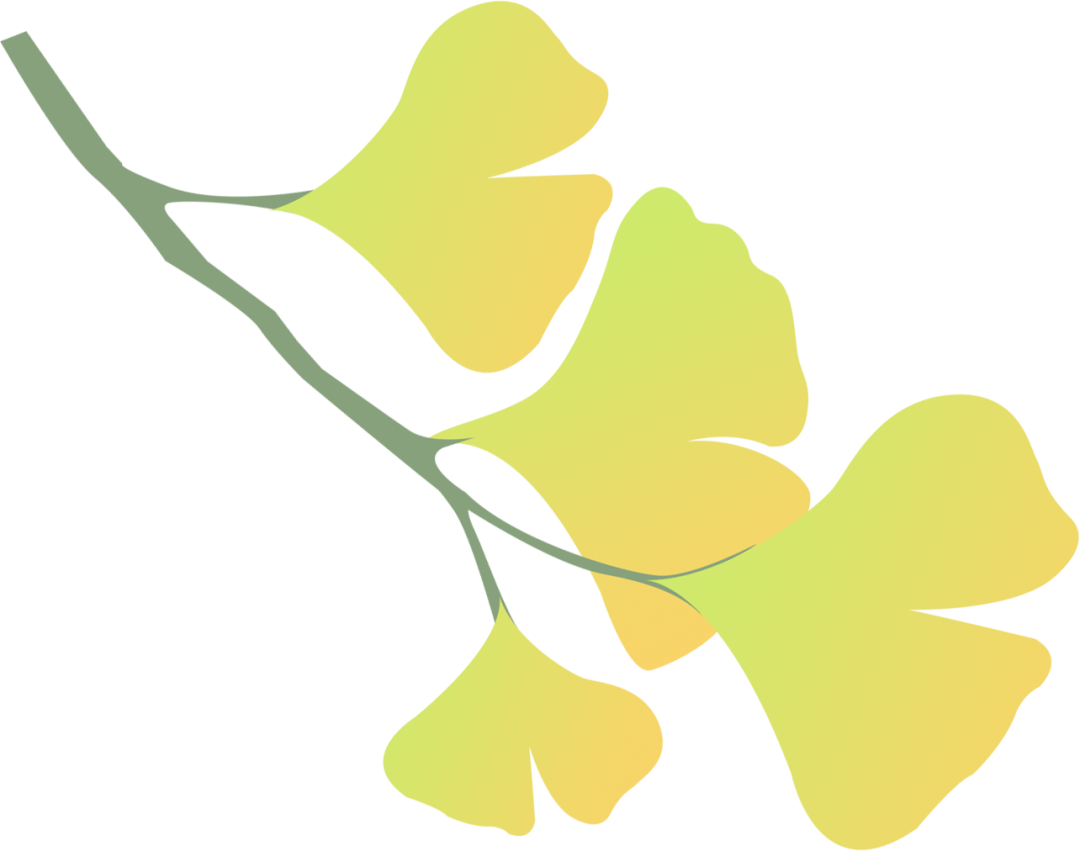 文旅胜地 康养之都——武都夯实文旅康养产业高质量发展“硬支撑”-小辉娱乐网