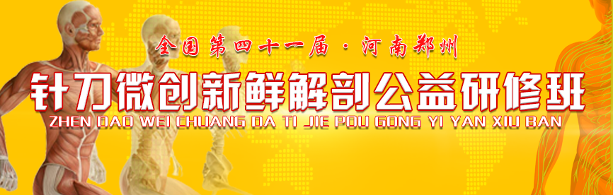 【针灸】这8个穴位针灸止痛有奇效，快学起来~-小辉娱乐网