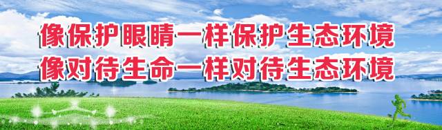 龙川成功开发首个碳普惠项目，开启碳汇助力乡村振兴新篇章-小辉娱乐网