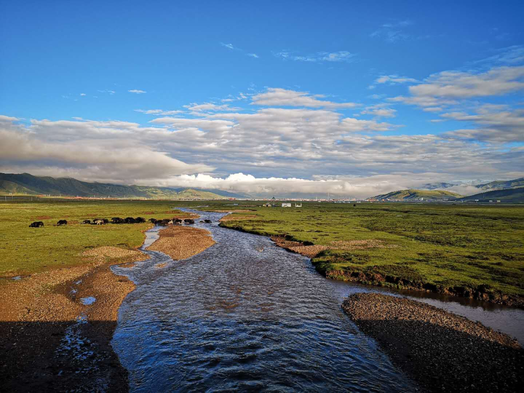 【生态曲麻莱】共筑共建，打造黄河源头美丽生态-小辉娱乐网