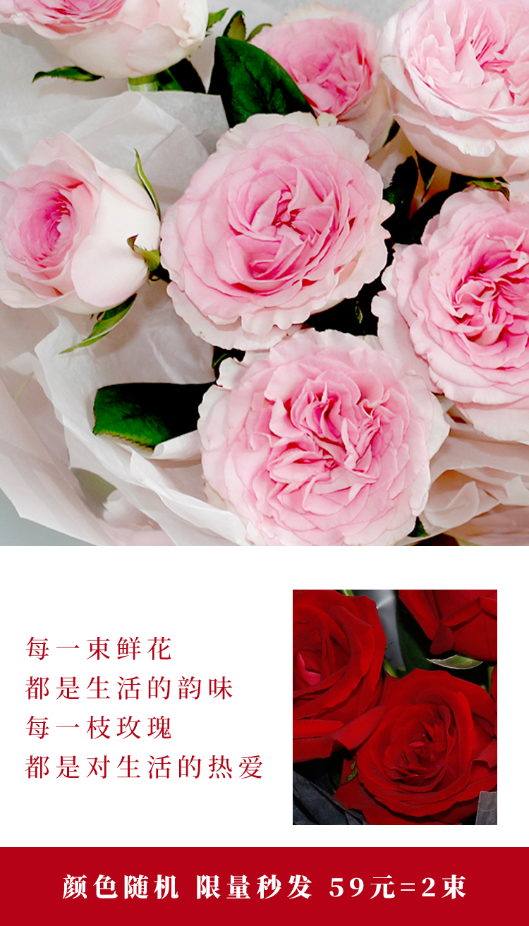 花港码头丨金秋宠粉，彩色玫瑰限量秒杀！-小辉娱乐网