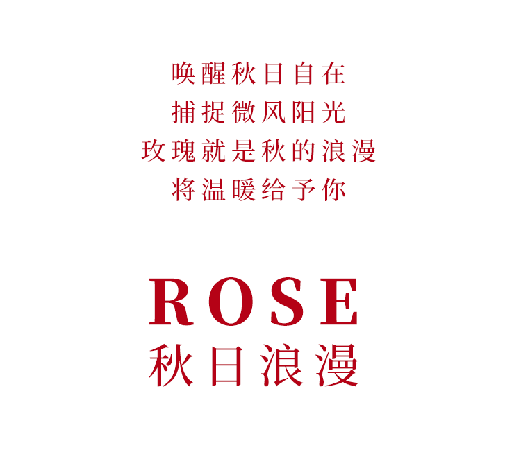 花港码头丨金秋宠粉，彩色玫瑰限量秒杀！-小辉娱乐网