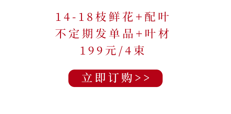 花港码头丨金秋宠粉，彩色玫瑰限量秒杀！-小辉娱乐网