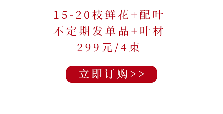 花港码头丨金秋宠粉，彩色玫瑰限量秒杀！-小辉娱乐网