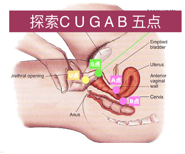 其实女人应该这么回答-爱妻自媒体