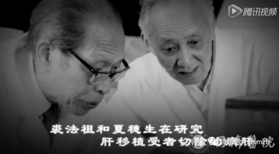 名医传奇夏穗生中国器官移植之父