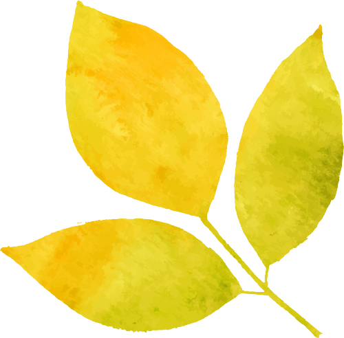 吃反季节蔬菜，有安全隐患吗？-小辉娱乐网