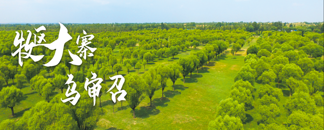 王健分别参加旗十八届人大三次会议乌审召镇、无定河镇代表团分组讨论-小辉娱乐网