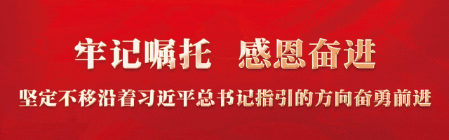 北安 | 走进“有机粮仓”，见证科技储粮-小辉娱乐网