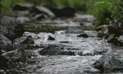 VC丰富还养颜轻脂，这是报恩水果啊！-小辉娱乐网