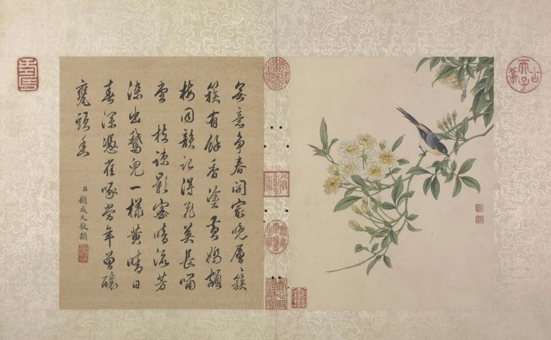 恽寿平和蒋廷锡：清初花鸟画坛的双璧