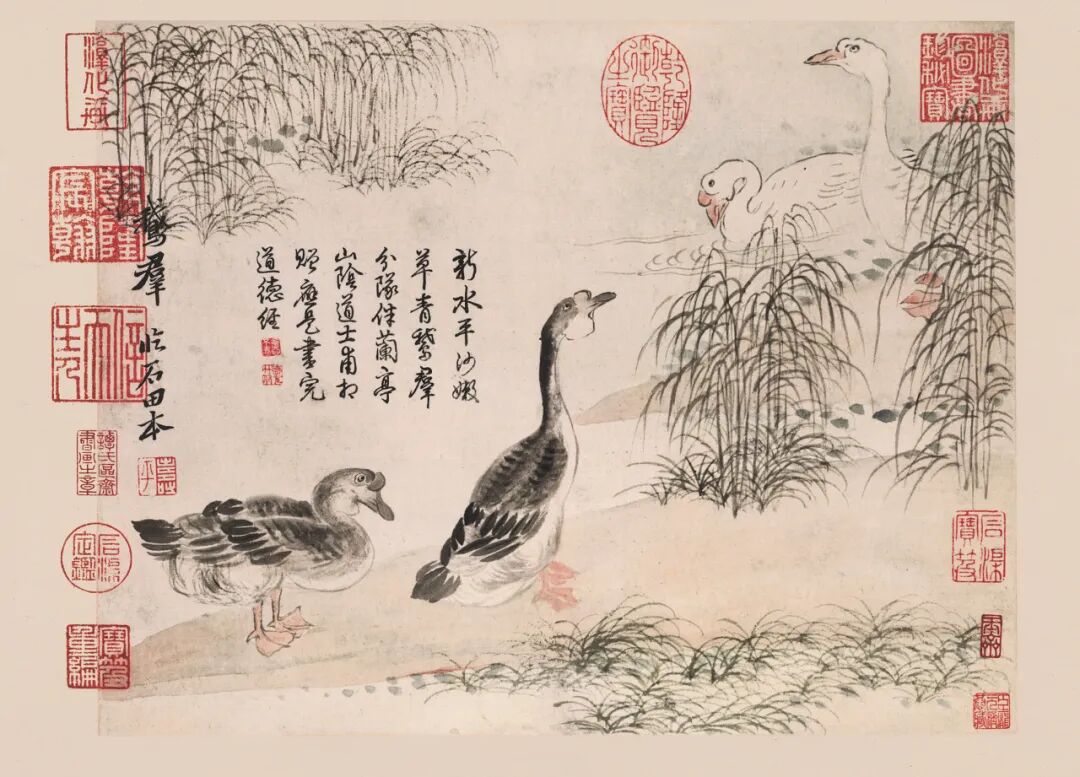 恽寿平和蒋廷锡：清初花鸟画坛的双璧