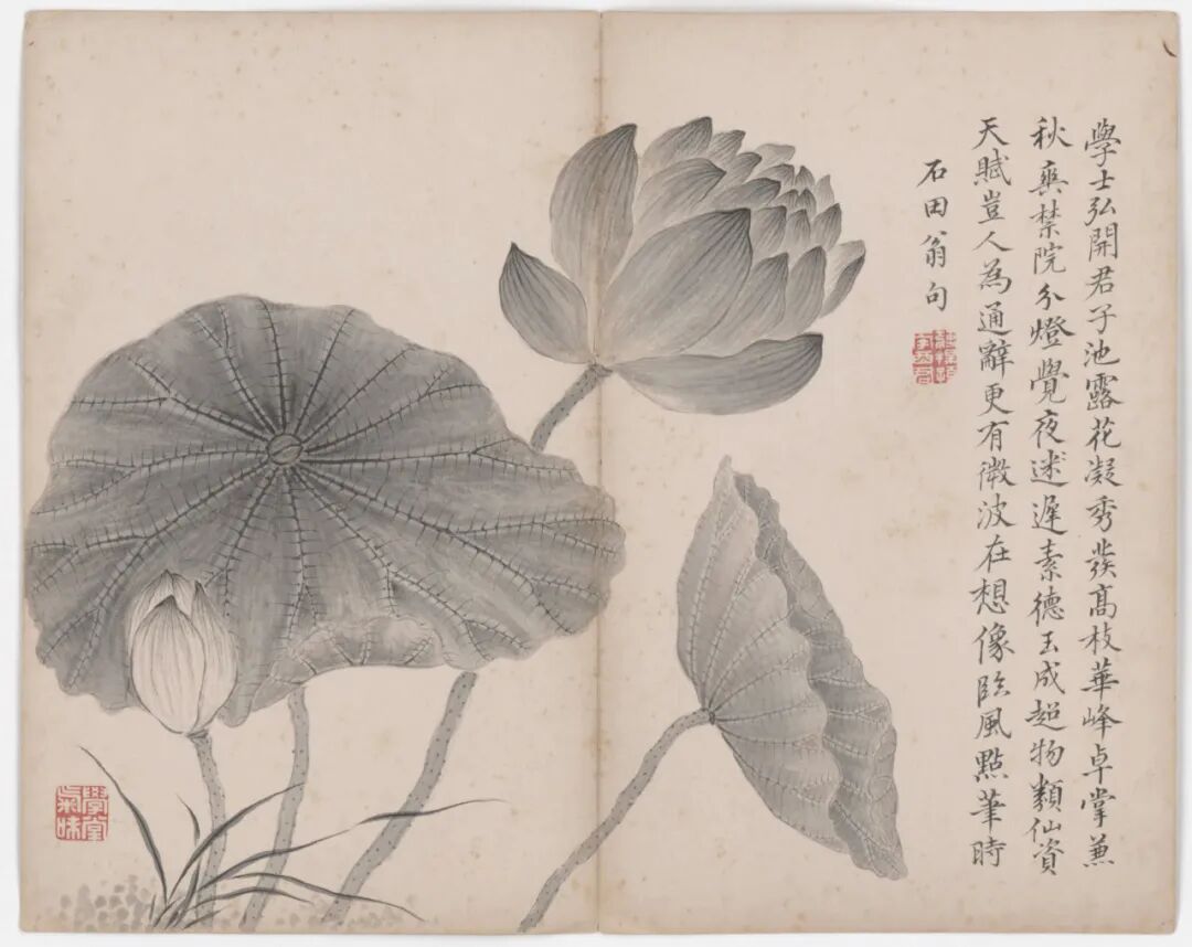 恽寿平和蒋廷锡：清初花鸟画坛的双璧