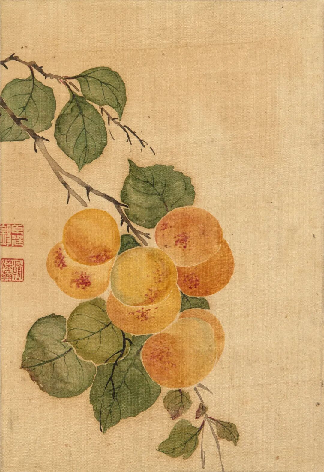 恽寿平和蒋廷锡：清初花鸟画坛的双璧