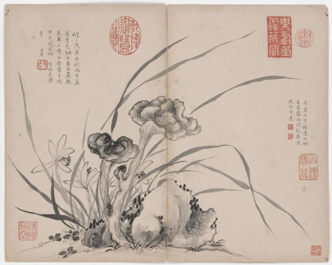 恽寿平和蒋廷锡：清初花鸟画坛的双璧