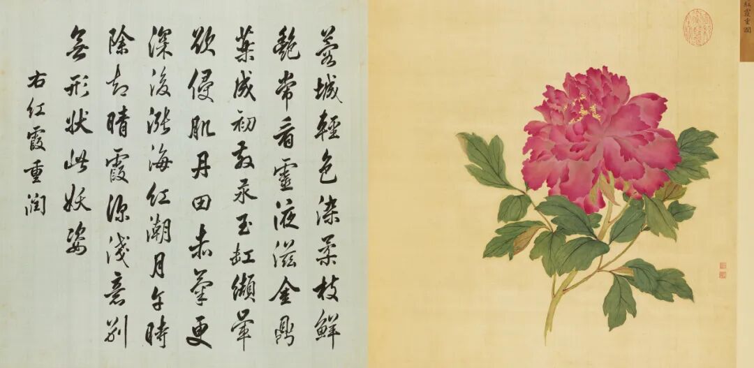 恽寿平和蒋廷锡：清初花鸟画坛的双璧