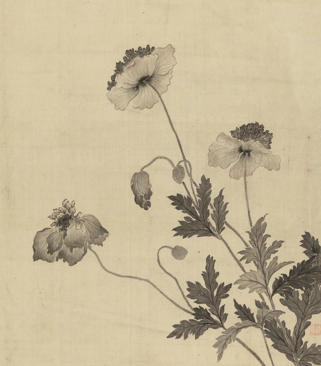 恽寿平和蒋廷锡：清初花鸟画坛的双璧