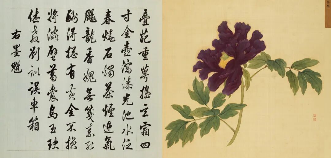 恽寿平和蒋廷锡：清初花鸟画坛的双璧