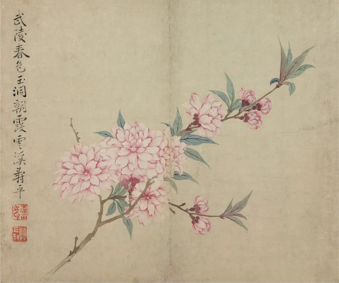 恽寿平和蒋廷锡：清初花鸟画坛的双璧