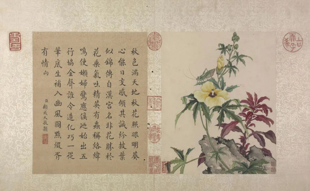 恽寿平和蒋廷锡：清初花鸟画坛的双璧