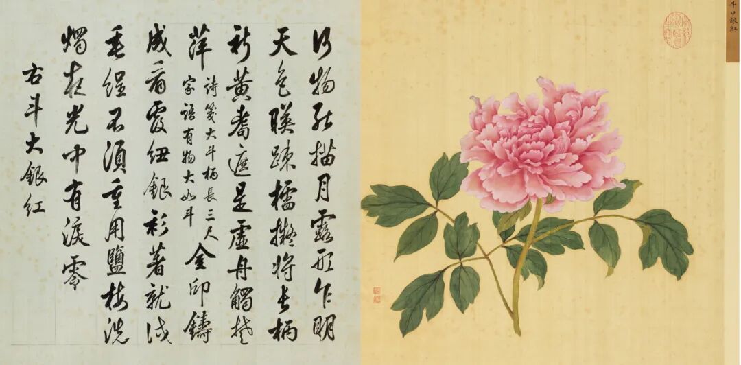 恽寿平和蒋廷锡：清初花鸟画坛的双璧