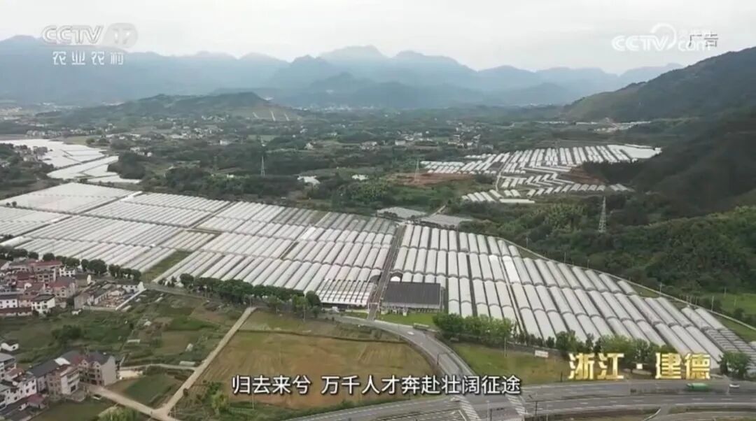 遇“建”未来，才有所“德”！让农创客逐梦起航丨CCTV-17公益展播