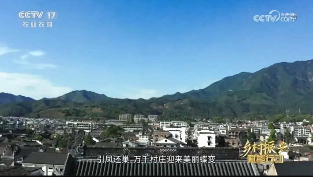 遇“建”未来，才有所“德”！让农创客逐梦起航丨CCTV-17公益展播