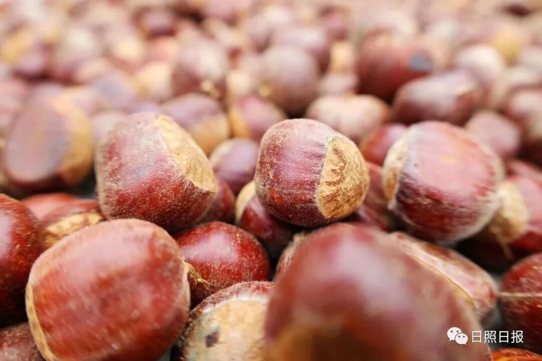 骄傲！！咱岚山乡村越来越好了！！-小辉娱乐网