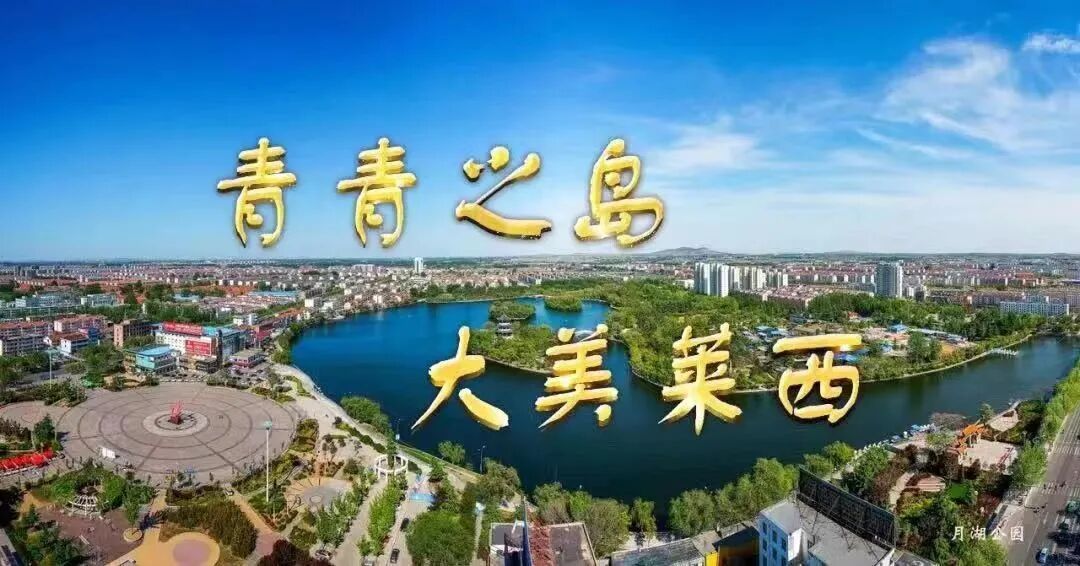 山东省乡村振兴青春建功行动暨“村村都有好青年”选培计划工作现场推进会在莱西市举办-小辉娱乐网