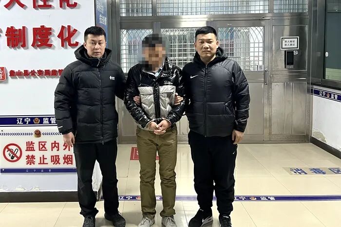 “双十一”刑满刚释放 “双十二”盗窃二进宫-小辉娱乐网