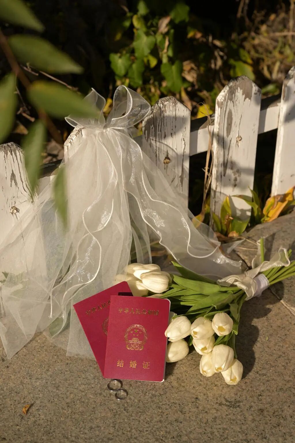 “哈尔滨的阴谋”？？？-小辉娱乐网