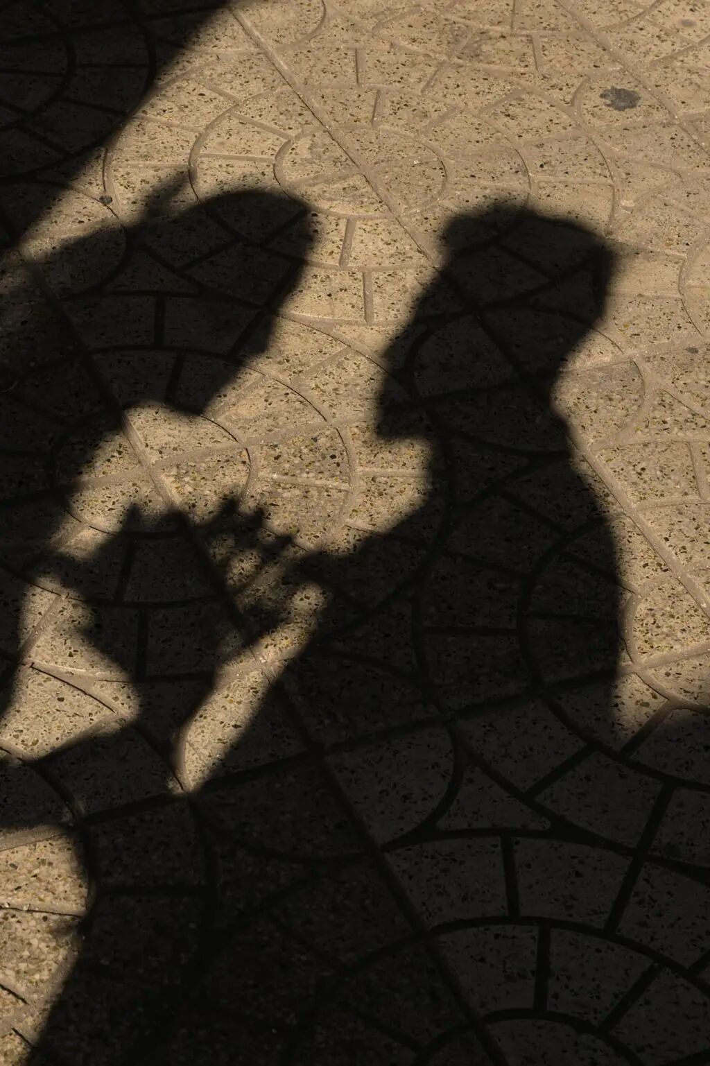 “哈尔滨的阴谋”？？？-小辉娱乐网