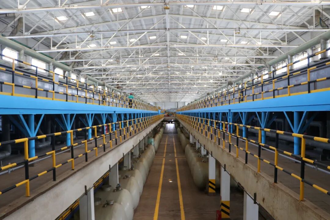 金字招牌：瞄准世界一流 加快推动品牌“出海”-小辉娱乐网