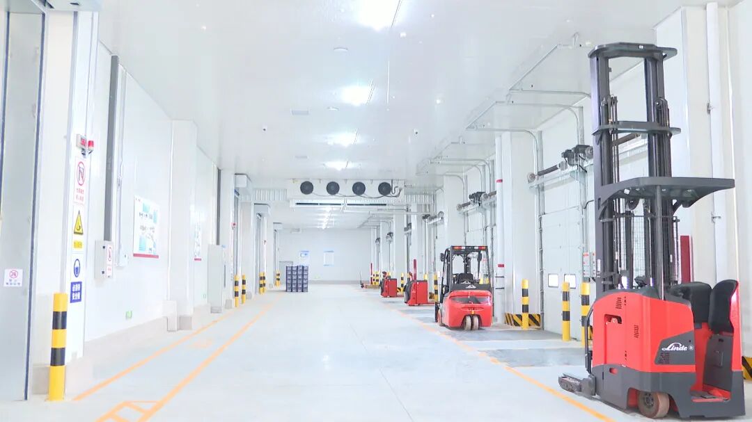 【高质量发展调研行】供销冷链物流（石家庄）有限公司为加速打造冷链物流骨干网添动能-小辉娱乐网