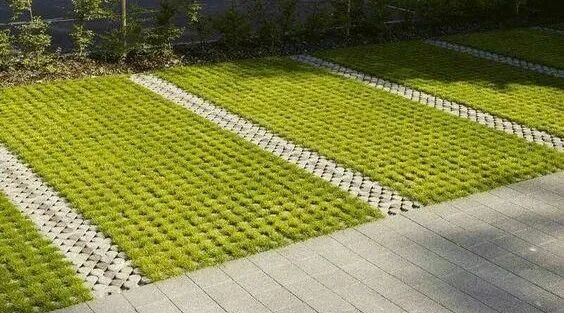 窗前绿地与地面车位的归属认定-小辉娱乐网