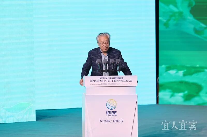 2023国际竹业品牌博览会暨第四届中国（宜宾）国际竹产业发展大会开幕-小辉娱乐网