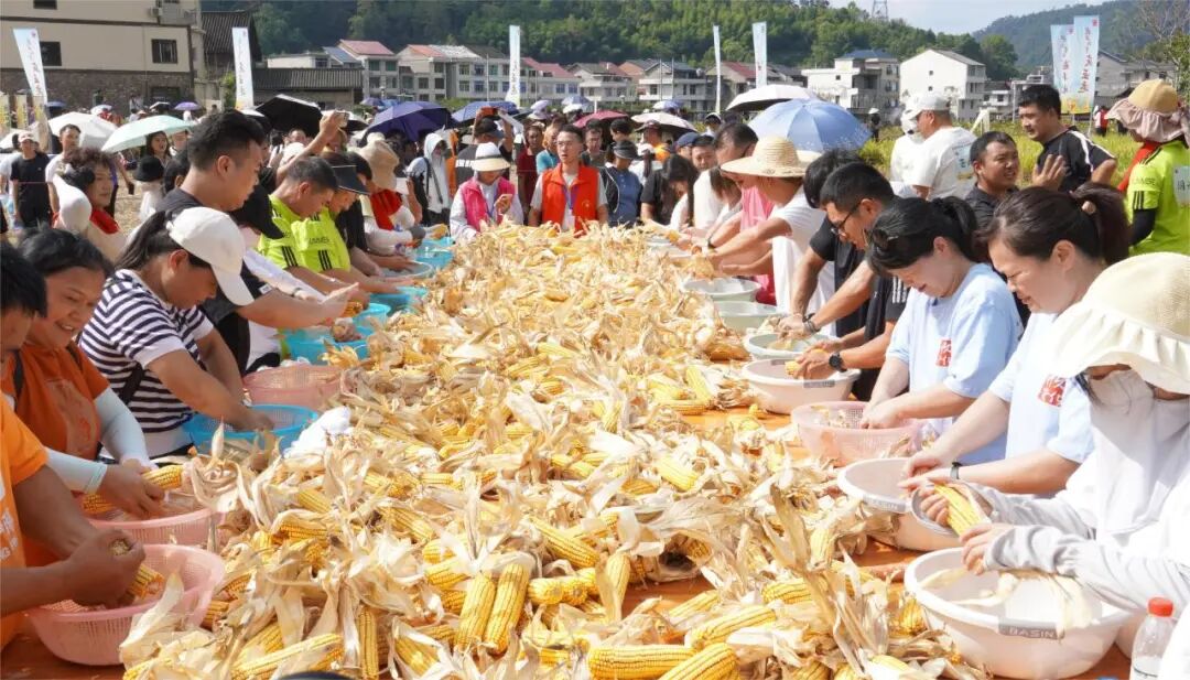 好热闹！泰顺这场村运会，太燃了！-小辉娱乐网