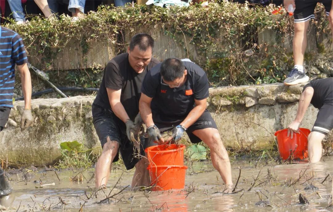 好热闹！泰顺这场村运会，太燃了！-小辉娱乐网
