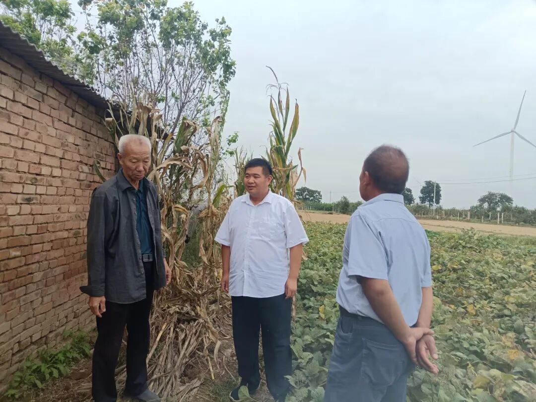 大美仪封工作日报（2023.09.29-10.01）-小辉娱乐网