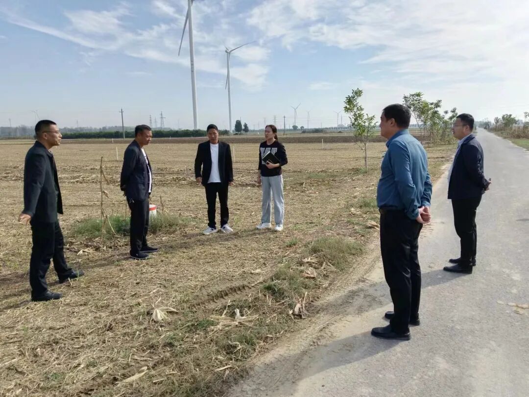 大美仪封工作日报（2023.09.29-10.01）-小辉娱乐网