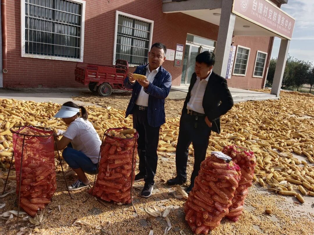 大美仪封工作日报（2023.09.29-10.01）-小辉娱乐网