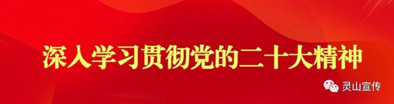 “青年荔站服务中心”成立啦！-小辉娱乐网