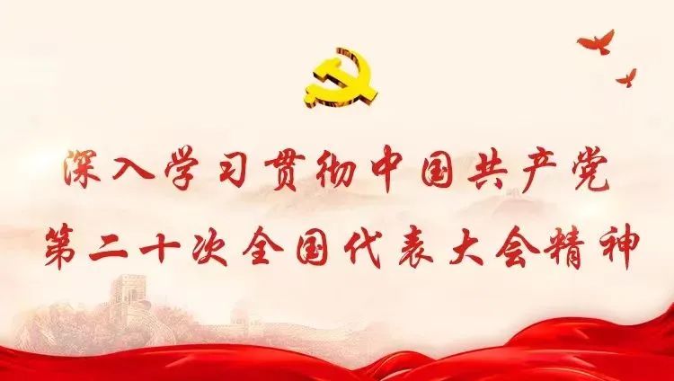 玉龙县吾木村：“党建+文化”激发基层治理新动能