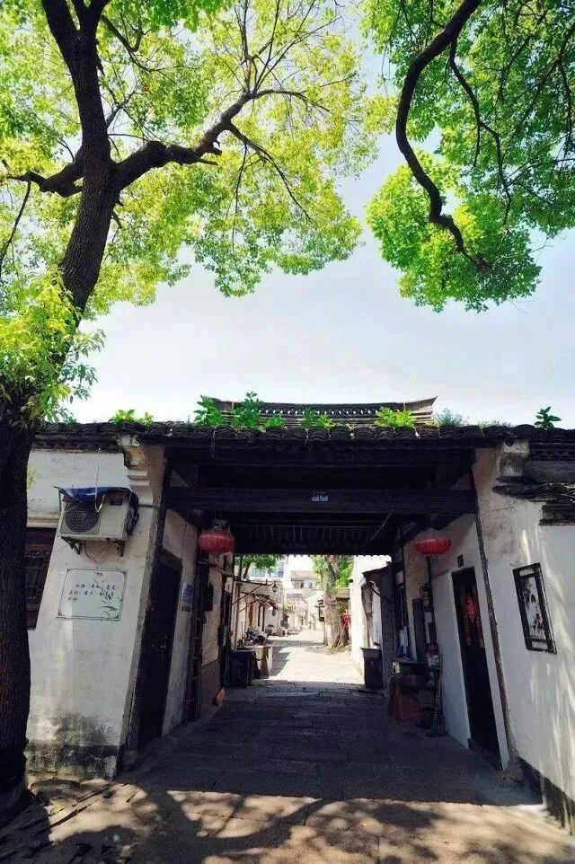 绍兴宝藏路名，揭秘！-小辉娱乐网