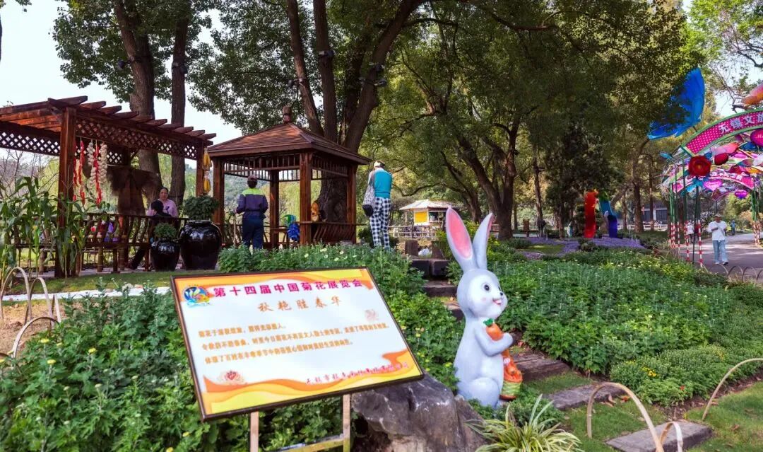 时间定了！持续一个月！-小辉娱乐网