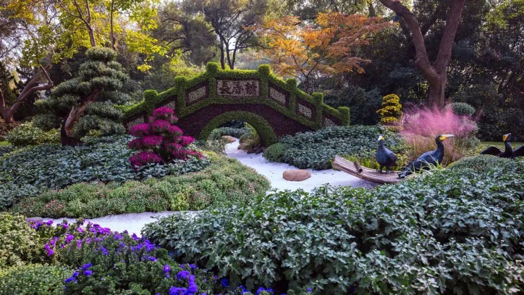 时间定了！持续一个月！-小辉娱乐网