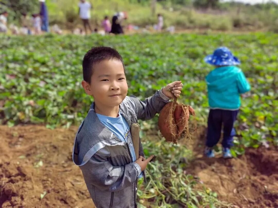 【知子花开】爱孩子就要学会“用孩子”-小辉娱乐网