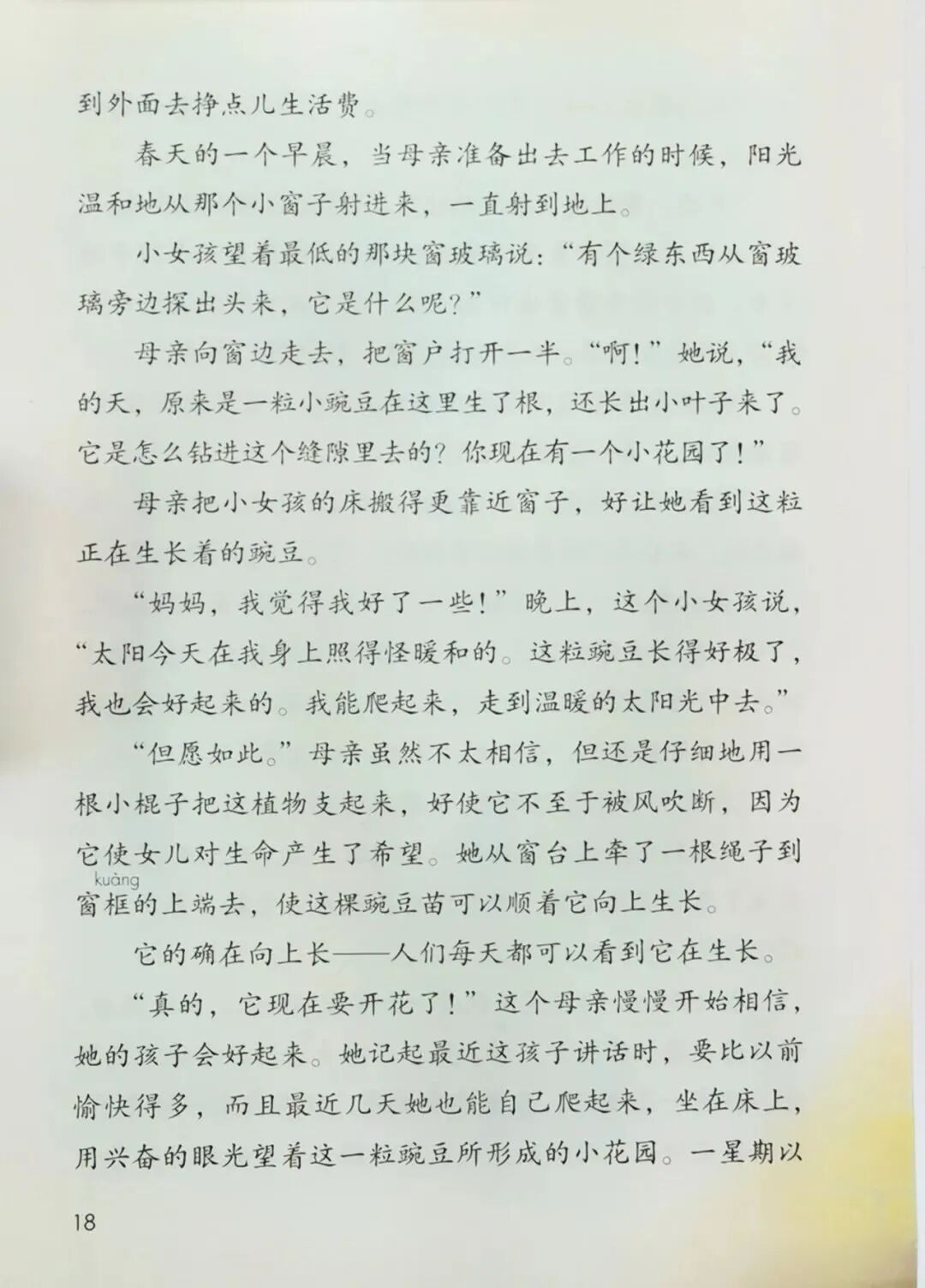 （朗读+知识点）：四年级上册第二单元第5课《一个豆荚里的五粒豆》-小辉娱乐网