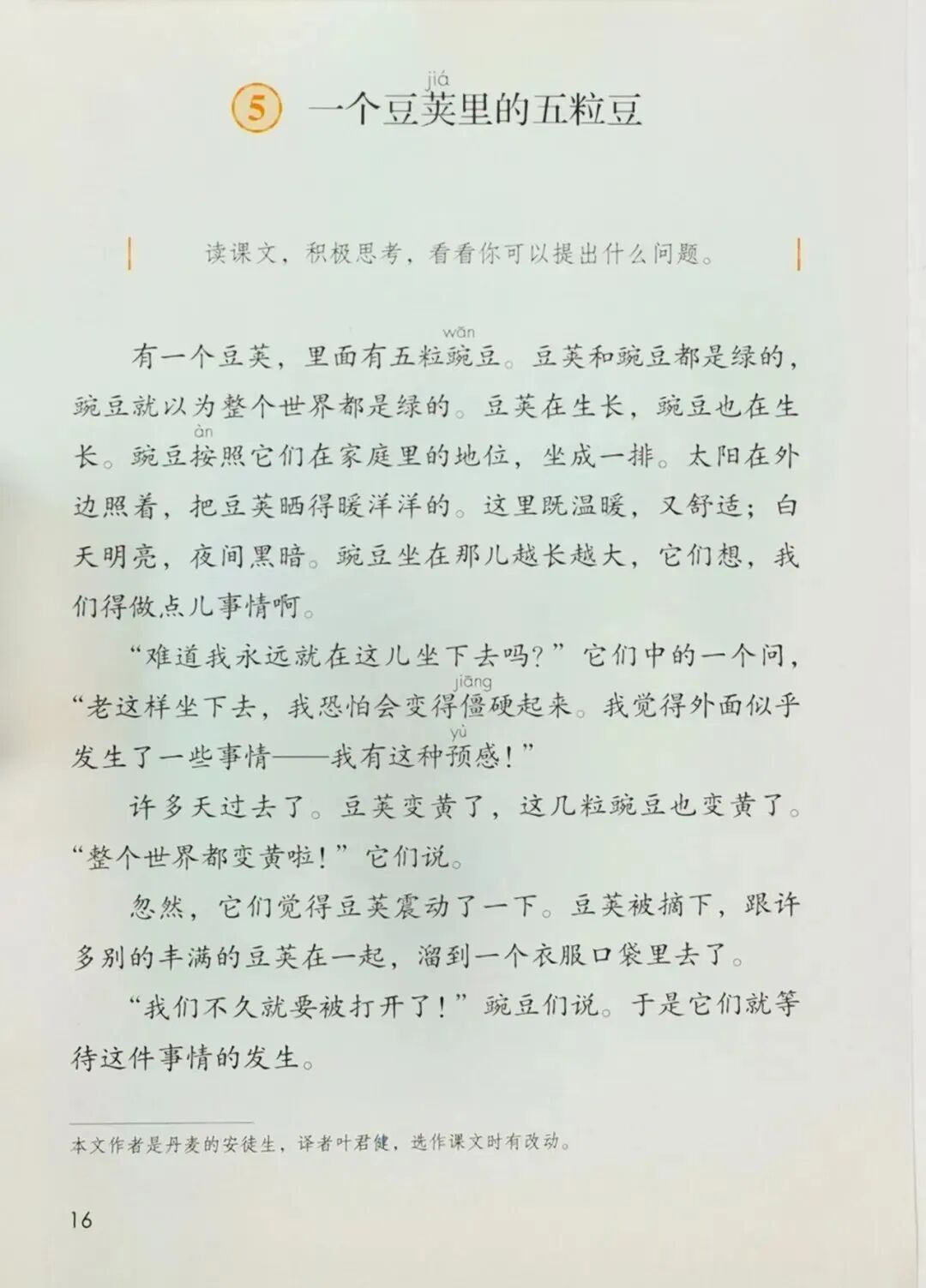 （朗读+知识点）：四年级上册第二单元第5课《一个豆荚里的五粒豆》-小辉娱乐网
